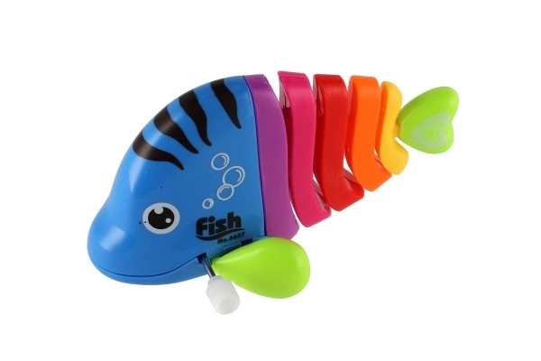 Colorful Wind-up Plastic Fish Toy