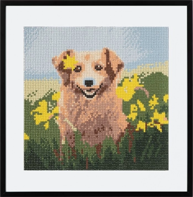 Diamond Painting Dog in Daffodils