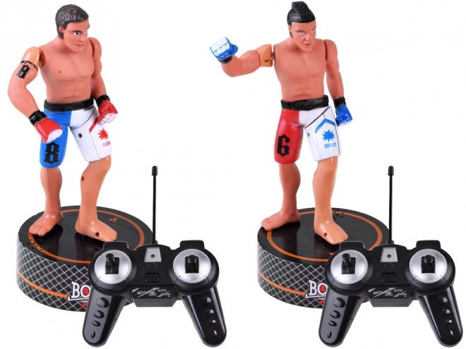 Remote Control Boxing Toy