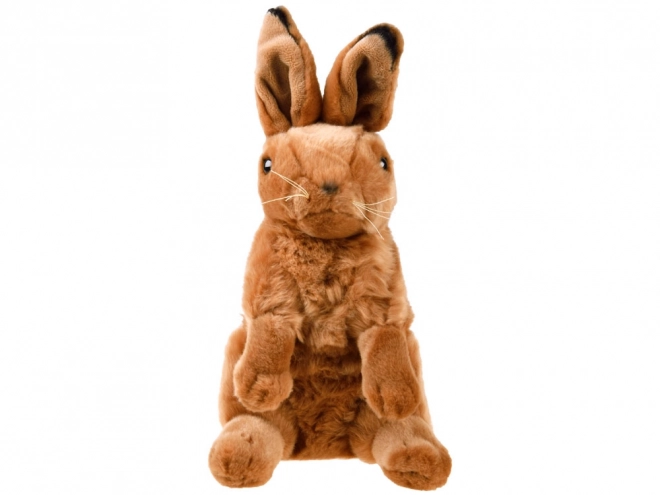 Plush Sitting Hare Toy