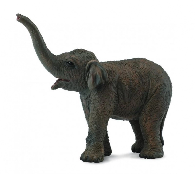 CollectA Asian Elephant Figurine - Baby Elephant