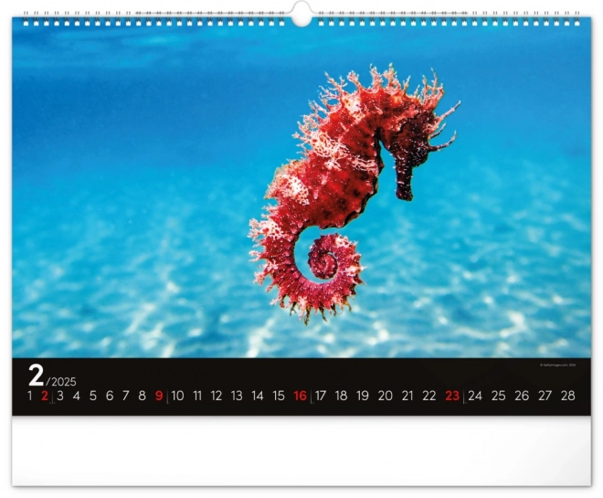 Wall Calendar Ocean 2025