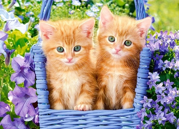 Ginger Kittens Puzzle for Kids