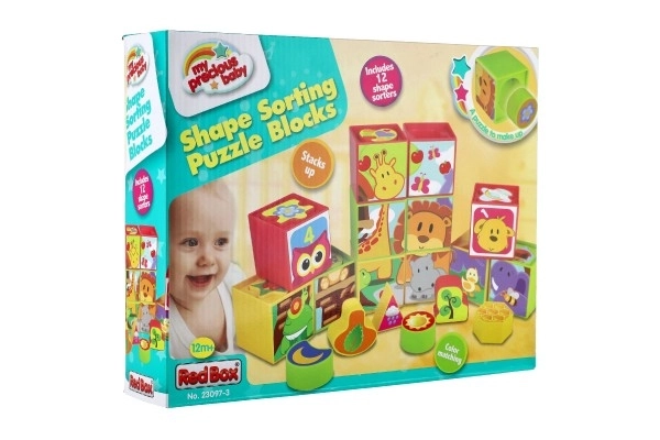 Cubes Shape Sorting Toy 12 Pieces