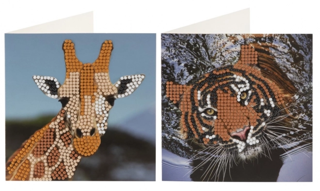 Stone Painting Diamond Cards 2 pcs 13x13 cm