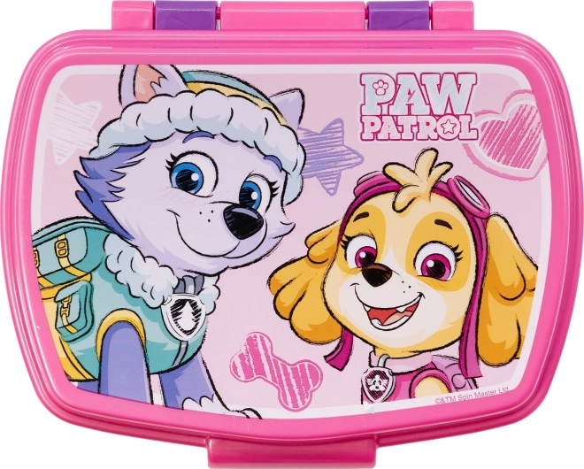 Paw Patrol Skye and Everest Snack Box