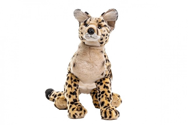 Plush Savannah Cat