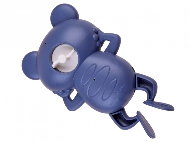 Wind-Up Floating Bath Frog Toy