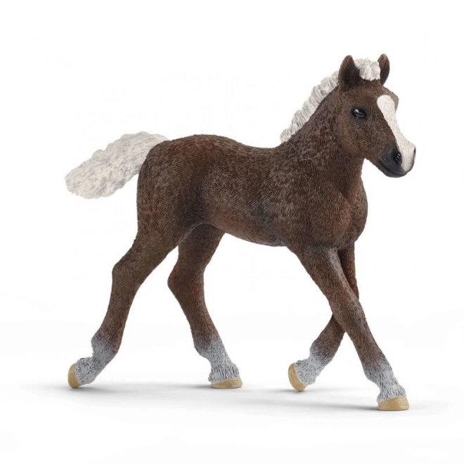 Schleich Farm World Schwarzwald Horse Foal