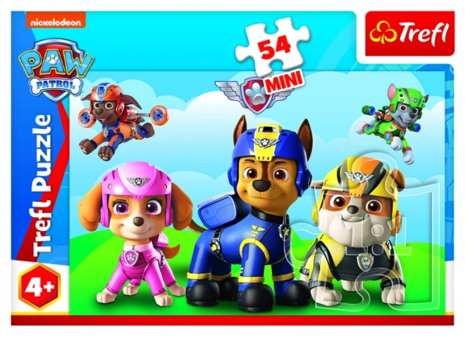 Paw Patrol Mini Puzzle Box