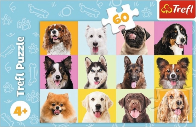 Trefl adorable puppies puzzle 60 pieces