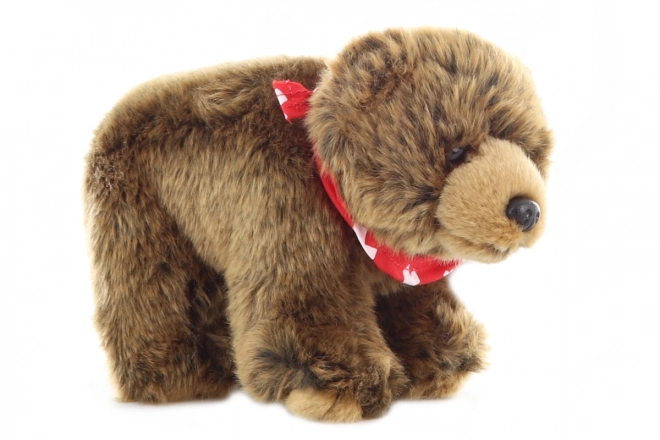 Plush Brown Bear with Scarf