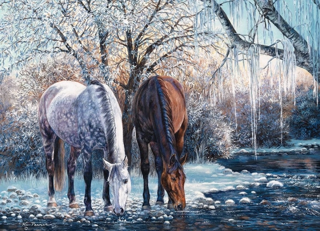 Stunning winter scenery