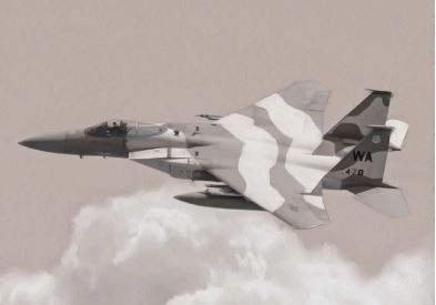 F-15C Eagle Model Kit