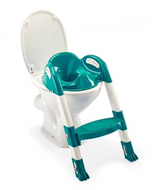 Toilet Training Seat and Step Ladder for Kids