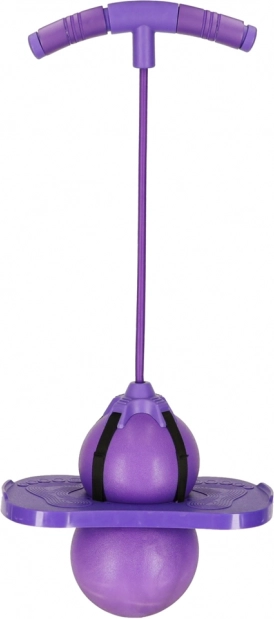 Springender Pogo Balance Jumper Violett für Kinder