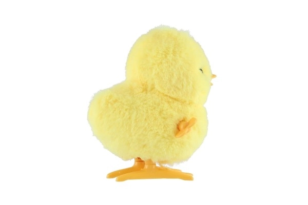 Wind-Up Chick Toy