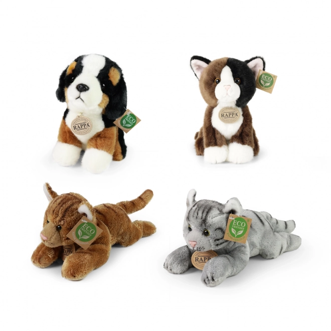 Exclusive Plush Dogs and Cats Eco-Friendly Display