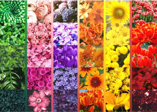 Vibrant floral palette in a grid