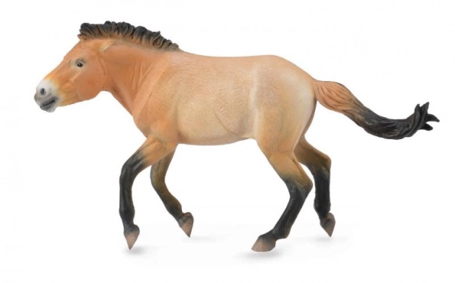 CollectA Przewalski's Horse Toy Figure