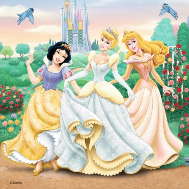 Ravensburger Disney Princess Dreams Puzzle Set