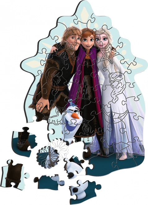 Wooden Puzzle Frozen Friends 50 Pieces