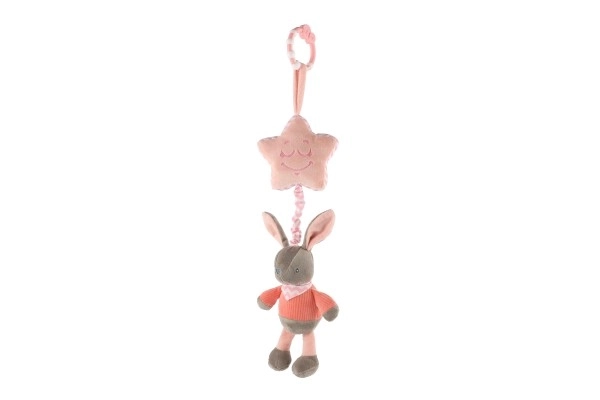 Musical Bunny Plush Toy