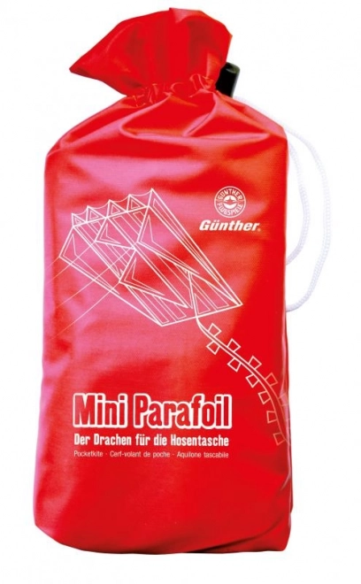 Mini 3D Parafoil Kite