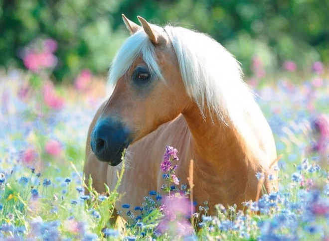 Horse Puzzle 300 Pieces