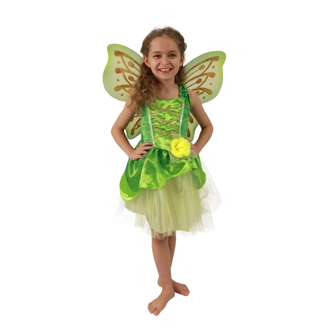 Fairy Costume with Wings