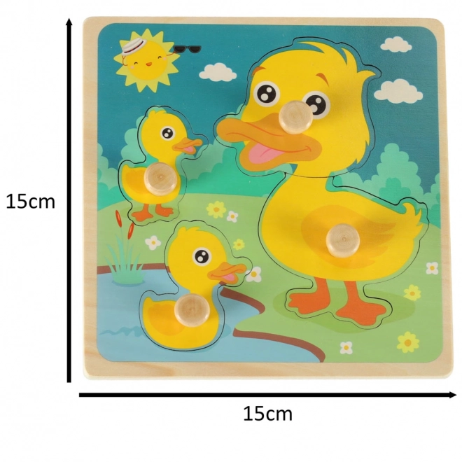 Wooden Duck Sorting Puzzle