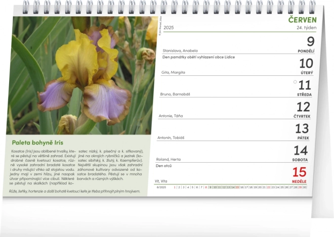 Gardener's Desk Calendar 2025