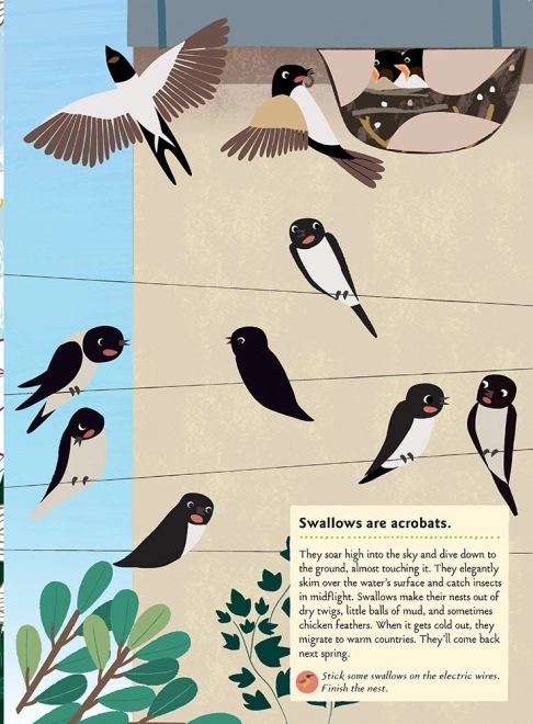 My Nature: Birds of the World Activity Book with Stickers