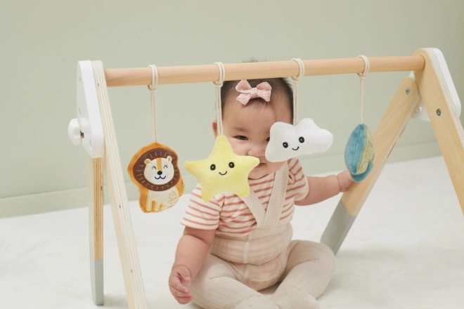 Wooden Baby Gym With Toys