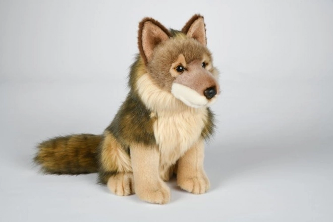 Plush Coyote 28 cm