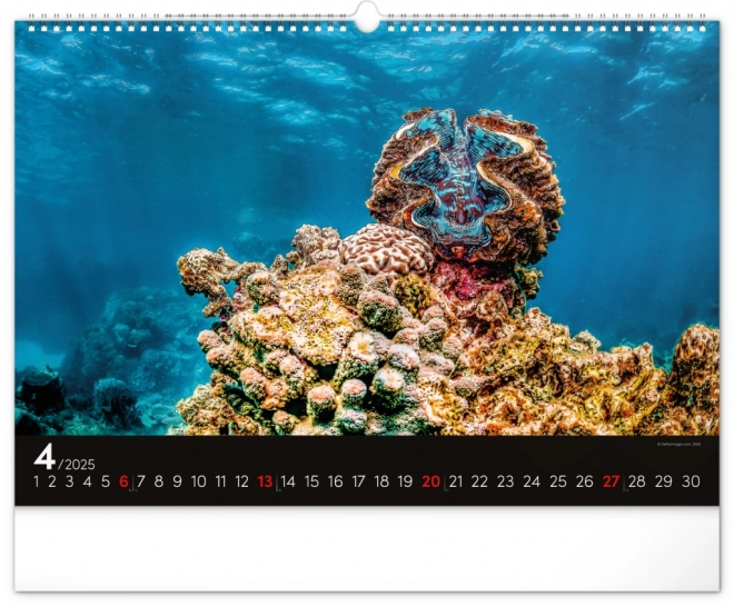 Wall Calendar Ocean 2025