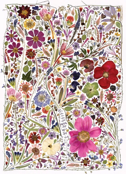 Puzzle Fiori Pressati Primavera 1000 Pezzi di Cobble Hill