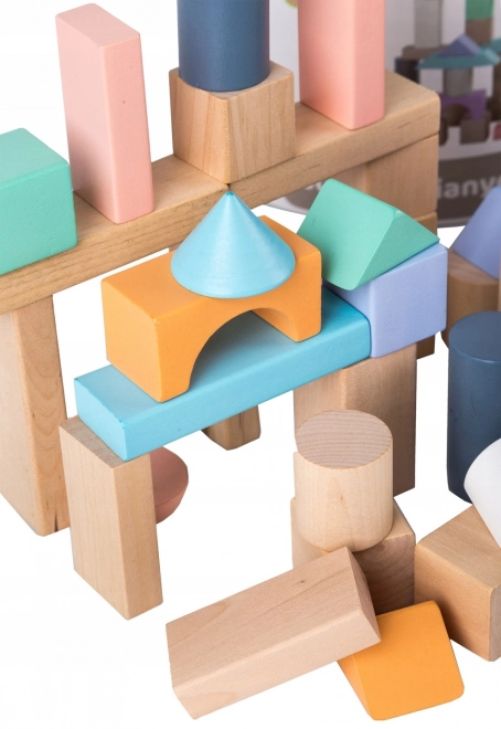 Wooden Blocks Set With Sorter