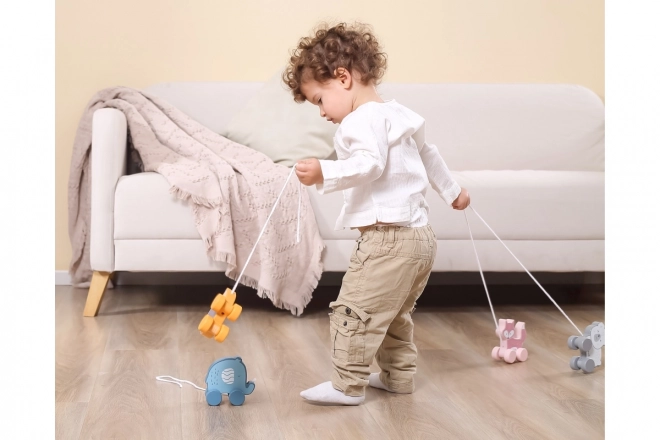 Wooden Pull Along Hedgehog Toy