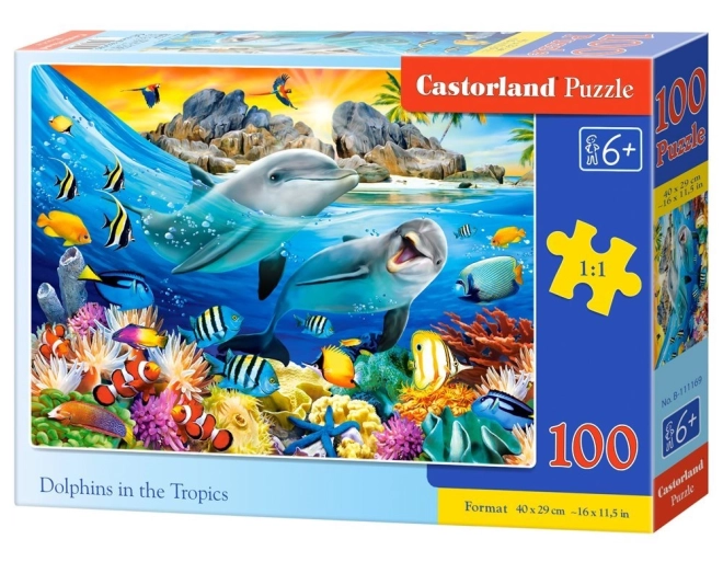 Tropical Dolphins Jigsaw Puzzle