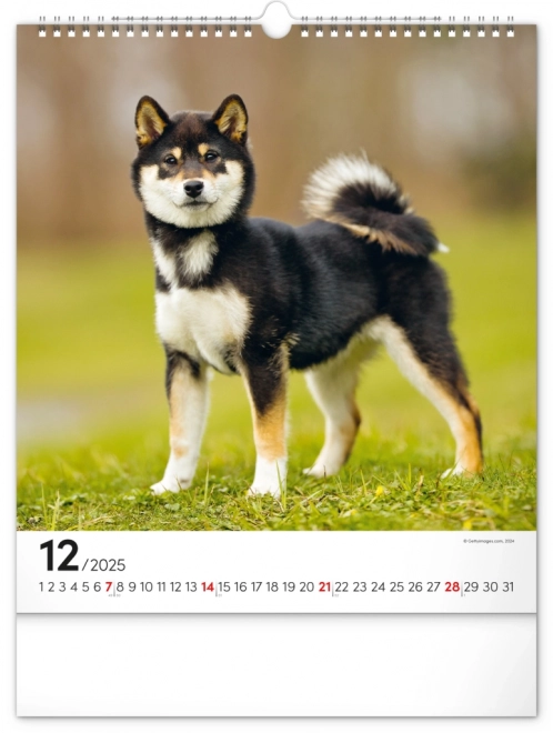 Notique Wall Calendar Dogs 2025