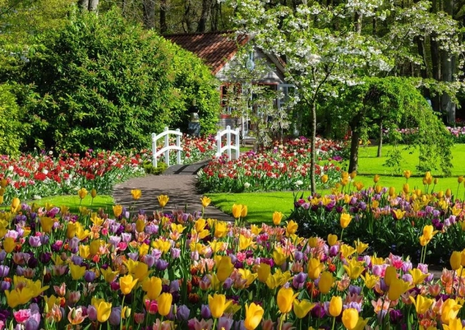 Ravensburger Puzzle Magical Gardens: Europe's Garden Keukenhof, Netherlands