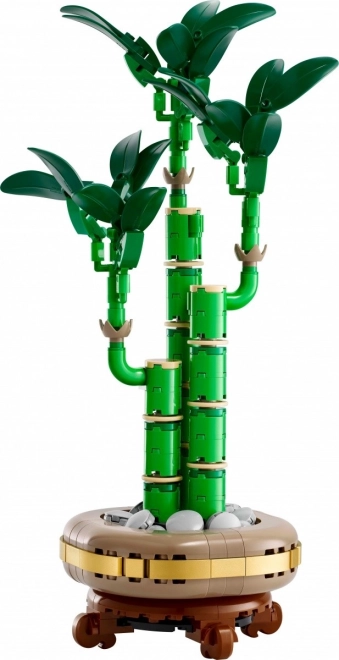 Decorative LEGO Botanicals Dracaena Sanderiana Plant