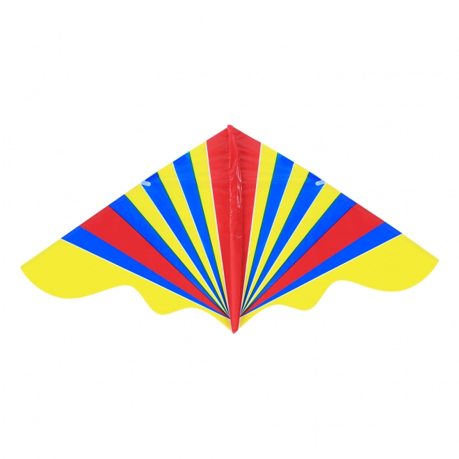 Colorful Flying Kite