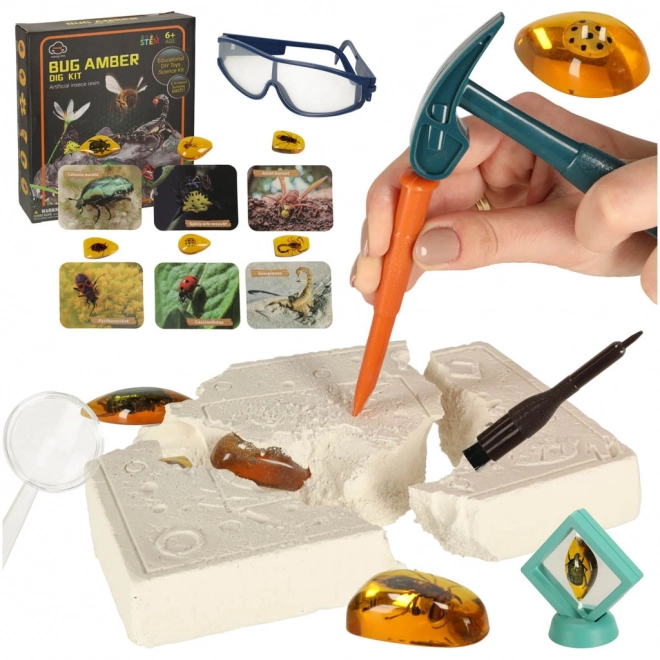 Educational Archaeological Excavation Set - Insects in Amber