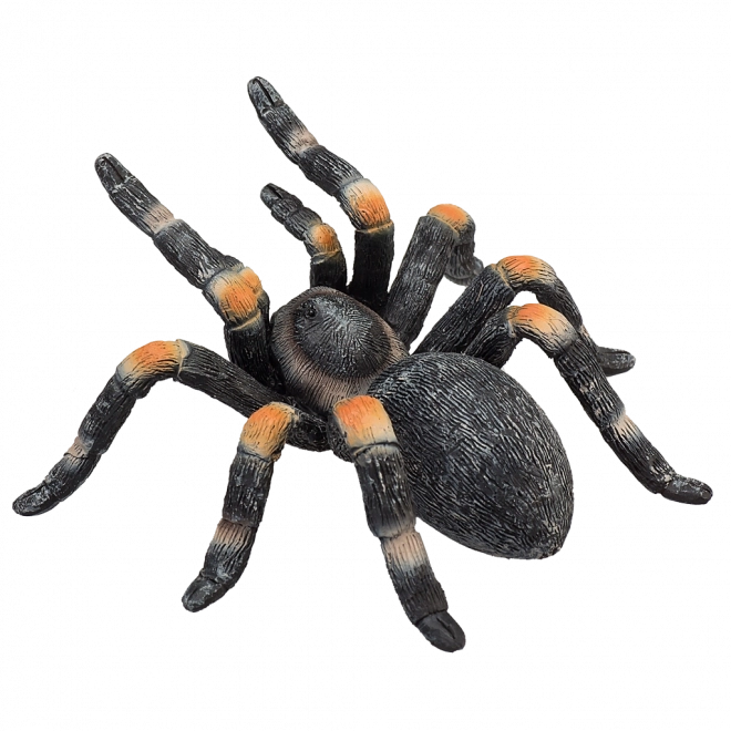 Realistische Smith Vogelspinne Figur
