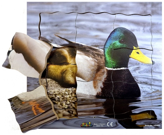 Duck Life Cycle Wooden Layered Puzzle