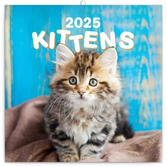 Notique Kittens Wall Calendar 2025