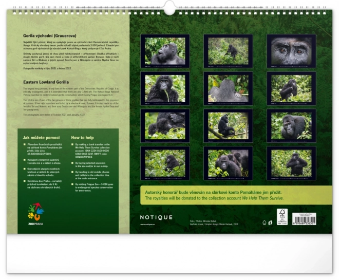 Wall Calendar Majestic Gorillas 2025