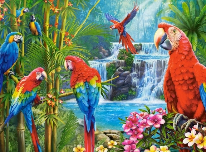 Parrot Meeting 2000 Piece Jigsaw Puzzle